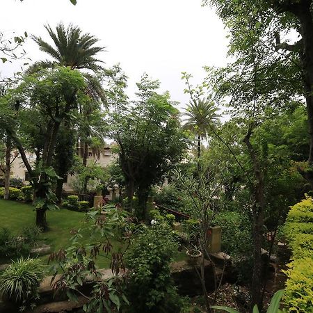 Hotel Maganji'S مونت ابو المظهر الخارجي الصورة